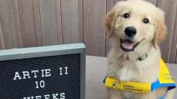 Reprodução/RedesSociais