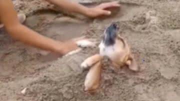 Reprodução / Redes sociais