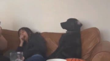 Reprodução / Redes sociais