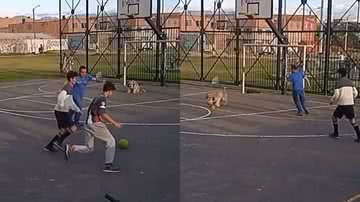 Reprodução/TikTok @hernanmatta07