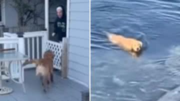 Reprodução / Redes sociais