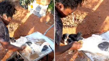 Reprodução / Redes sociais