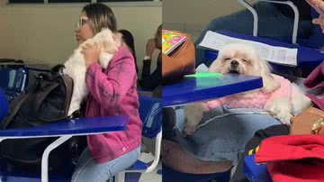 Reprodução/TikTok @lorraneymurteira