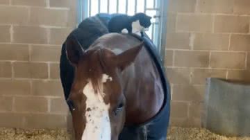 Reprodução/RedesSociais