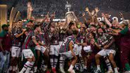 Marcelo Gonçalves/Fluminense