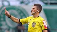Cesar Greco / Palmeiras