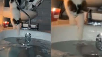 Reprodução / Redes Sociais