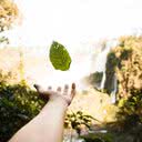 Divulgação / Freepik