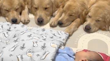 Reprodução / Redes sociais