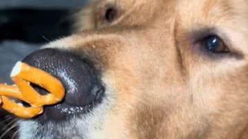 Reprodução/RedesSociais