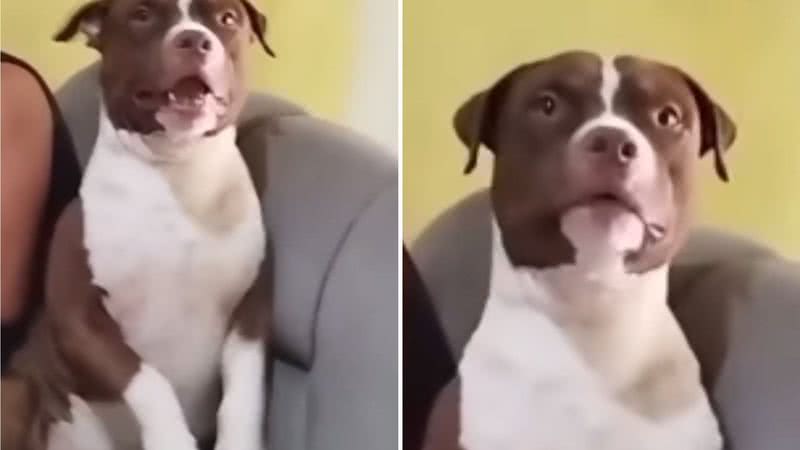 Reprodução / Redes Sociais