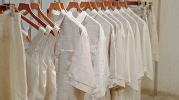 Reprodução/ Pexels