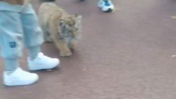 Reprodução/RedesSociais