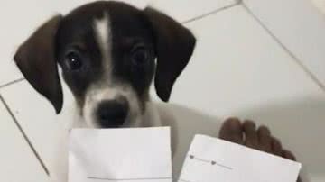 Reprodução/RedesSociais