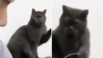 Reprodução / Redes sociais