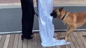 Reprodução/RedesSociais