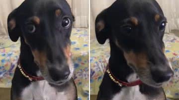 Reprodução / Redes sociais