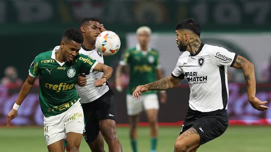 Cesar Greco/Palmeiras