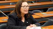 Najara Araújo / Câmara dos Deputados