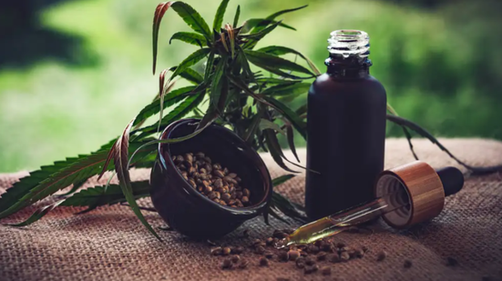 Reprodução / Pixabay