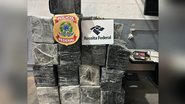 Divulgação/Polícia Federal