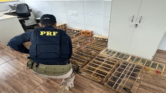 Divulgação/PRF