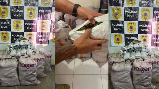 Divulgação | Polícia Civil