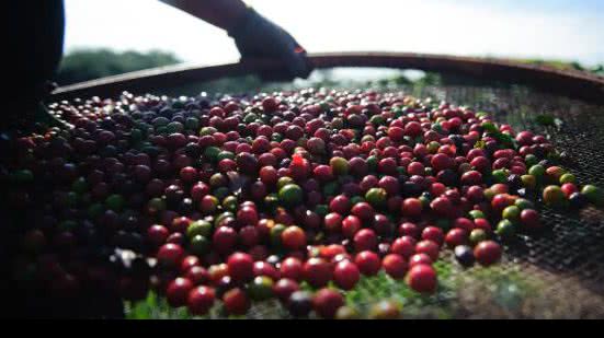 Reprodução/Agência Brasil