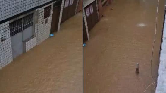Reprodução