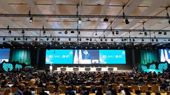 Divulgação / COP29