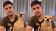 Reprodução// TikTok @nininha.rainha