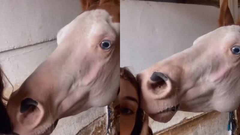 Reprodução// TikTok @ridingbia