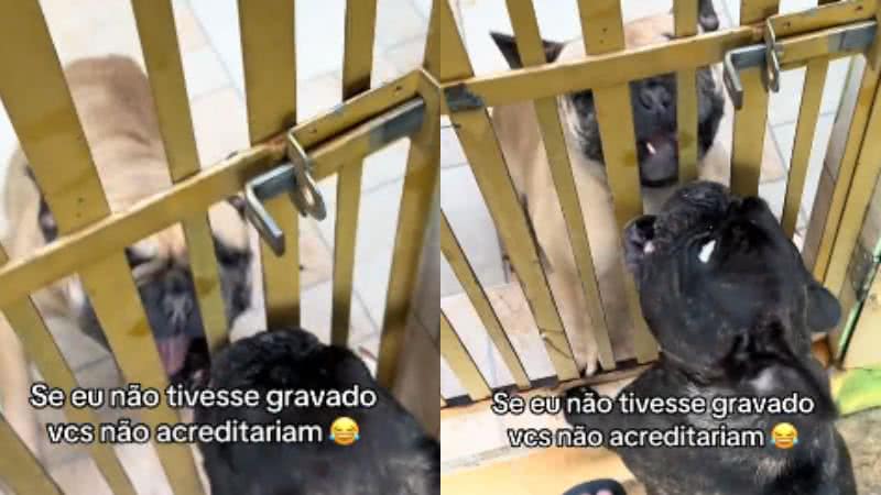 Reprodução// TikTok @danmiraanda
