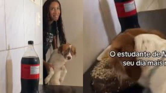 Reprodução// TikTok @rafa_suzane