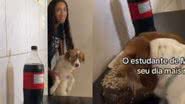 Reprodução// TikTok @rafa_suzane