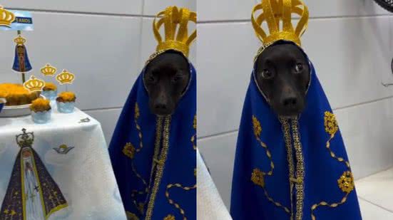 Reprodução// TikTok @mariacilenepaulo
