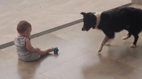 Reprodução// TikTok @lorena.roberta.be