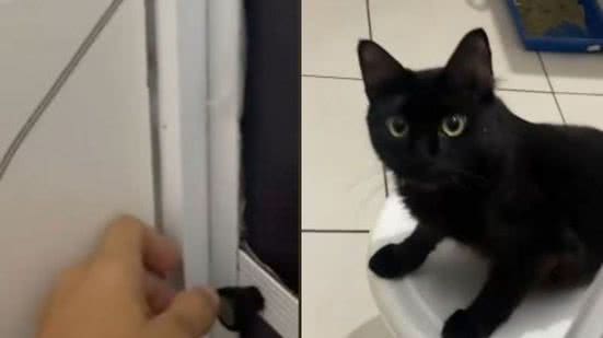 Reprodução// TikTok @_samilaraujo