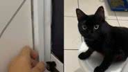 Reprodução// TikTok @_samilaraujo