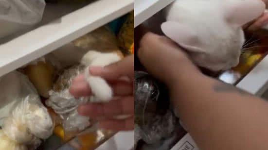 Reprodução//TikTok @jhanatanmendes