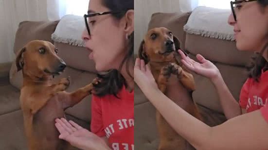 Reprodução// TikTok @eliza_abba