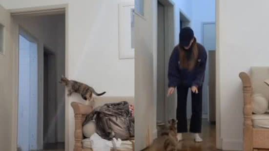 Reprodução// TikTok @caru.truzzi