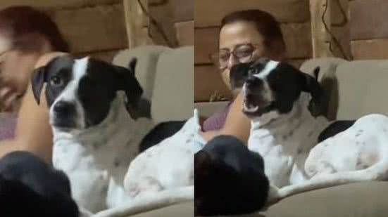 Reprodução// TikTok @nogueiraa_mn