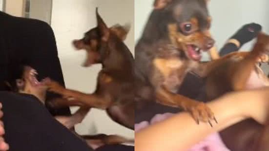 Reprodução// TikTok @cookieenog