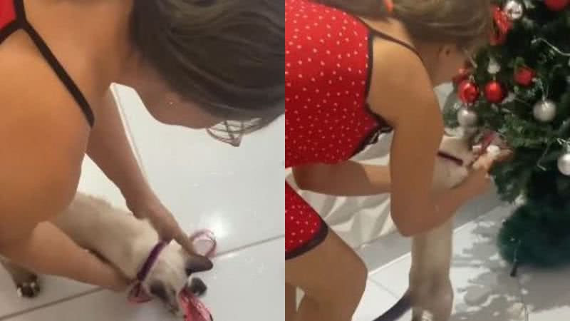 Reprodução// TikTok @ogatofamosodosertao