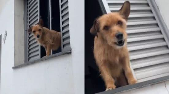 Reprodução// TikTok @anjelogabrielluz