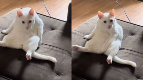 Reprodução// TikTok @flavodemel