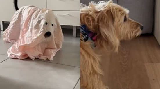 Reprodução// TikTok @yasmineholanda