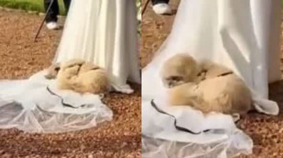 Reprodução// TikTok @danymedeirossss