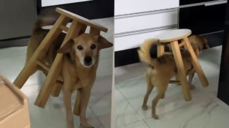 Reprodução// TikTok @larissamassuquetto